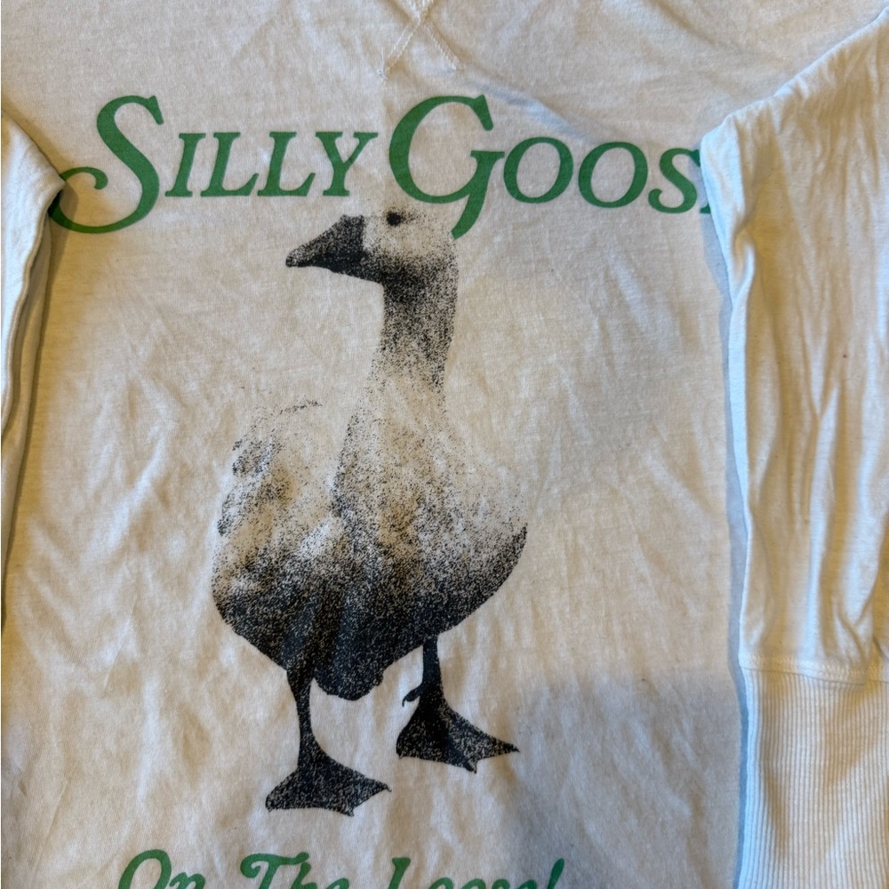 Aerie Cream Silly Goose Long Sleeve Tee - Picture 2 of 3